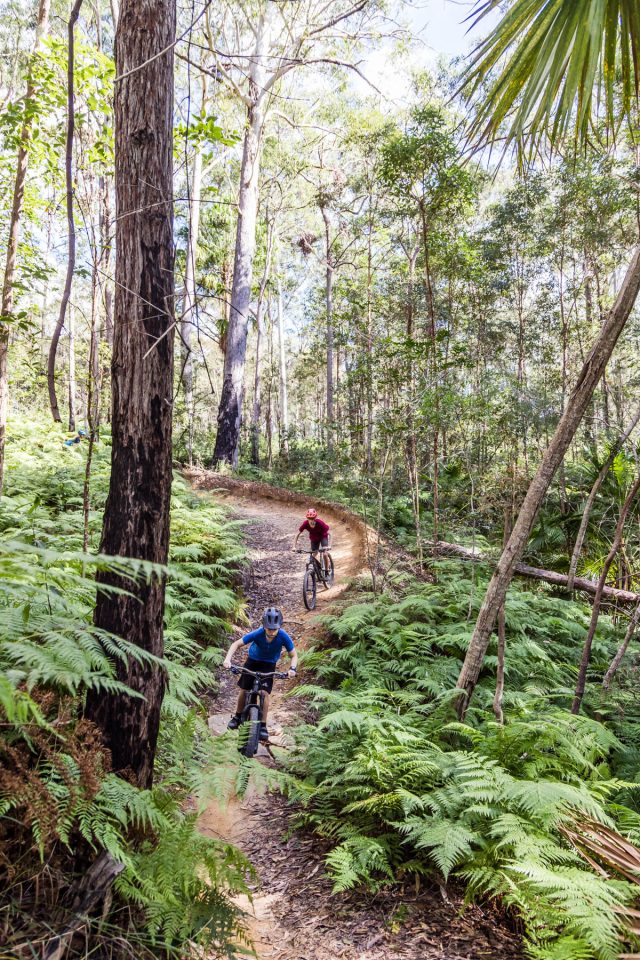 Tewantin National Park MTB Experience