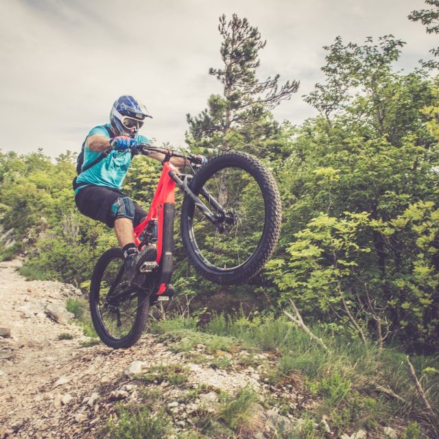 Noosa Bike Hire MTB, Road, Cruiser, Kid's & eBike Rental