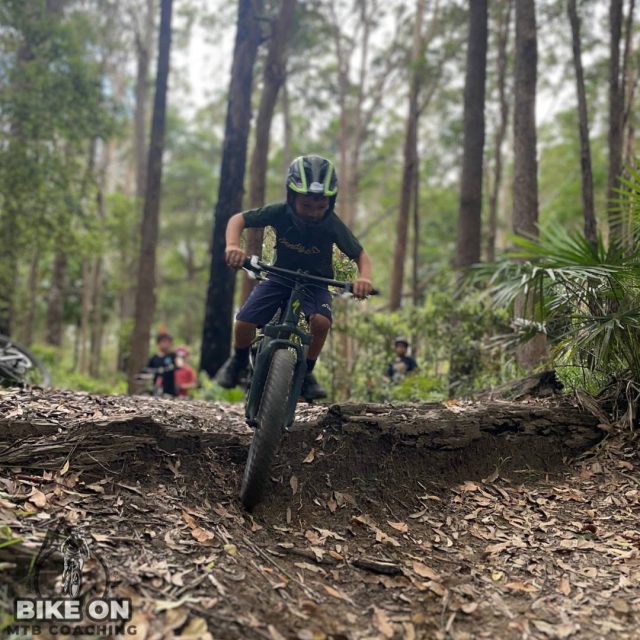 After School Shredders - Image 2
