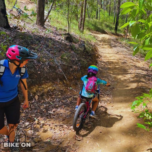 After School Shredders - Image 11
