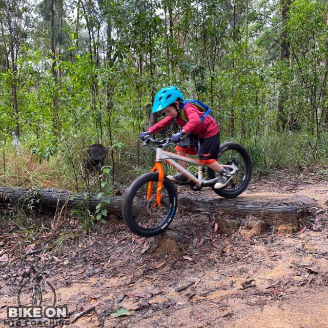 After School Shredders - Image 4