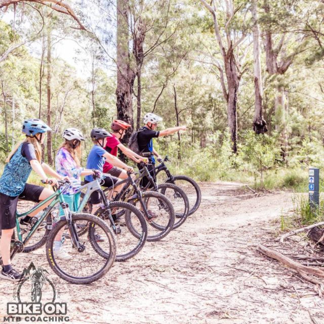 After School Shredders - Image 13