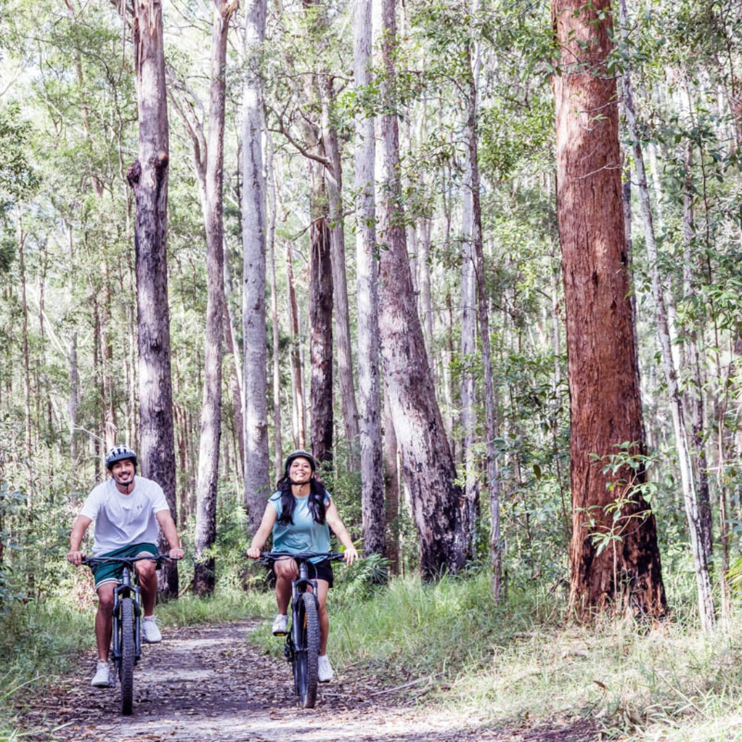 Discover the hidden gems of Noosa on Bike