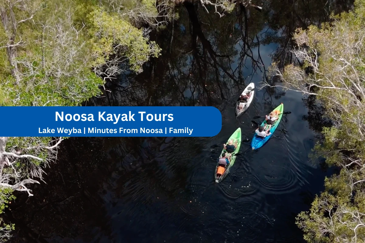 Kayaks on Noosa Everglades sightseeing tour